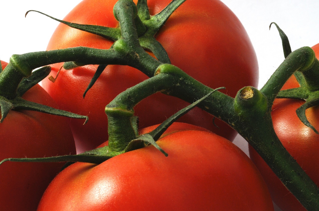 tomatoes fresh food free photo