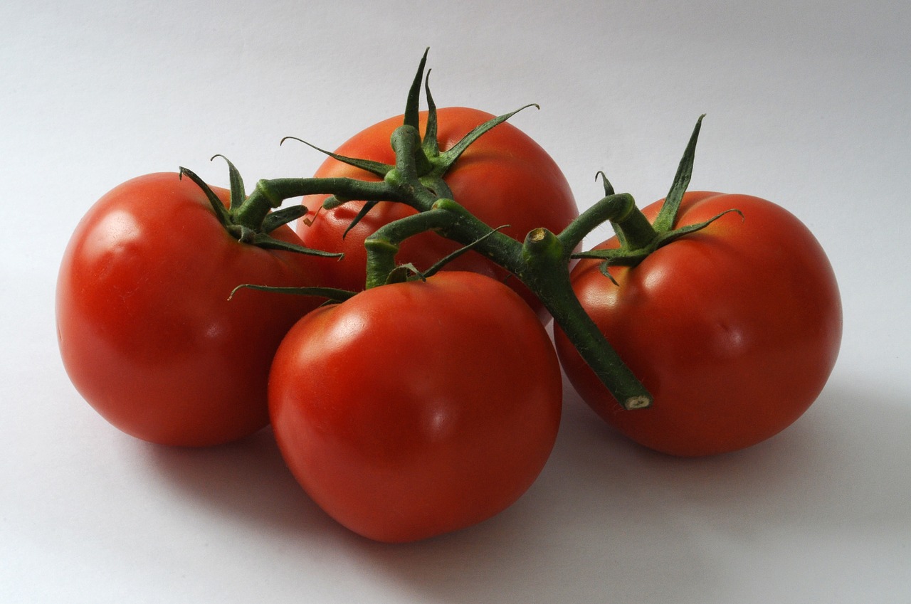 tomatoes fresh vegetables free photo