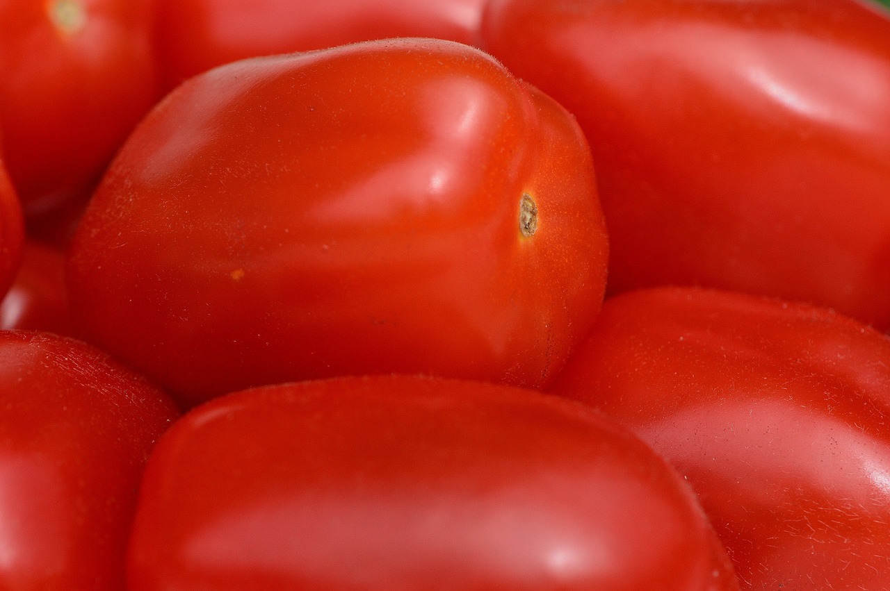 tomatoes vegetables macro free photo