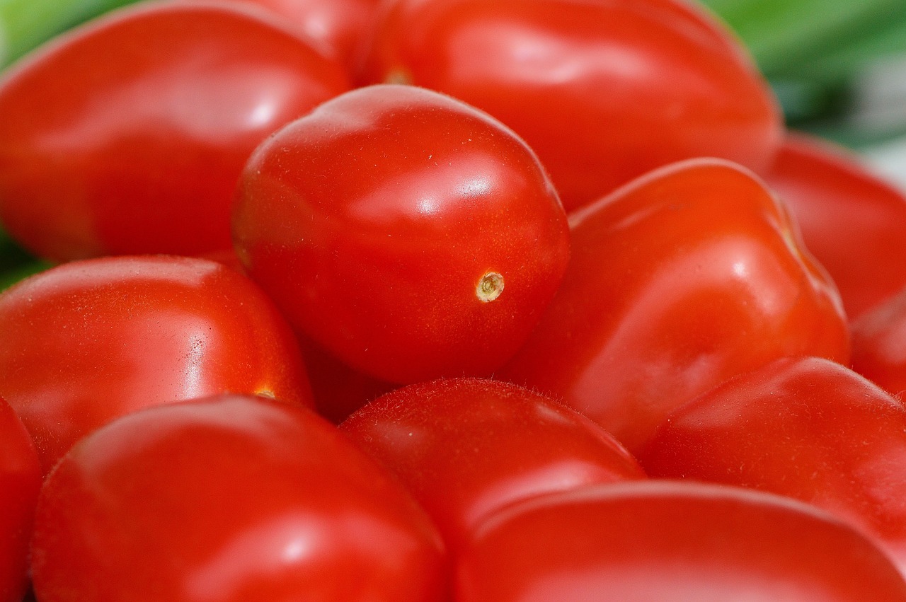 tomatoes vegetables macro free photo