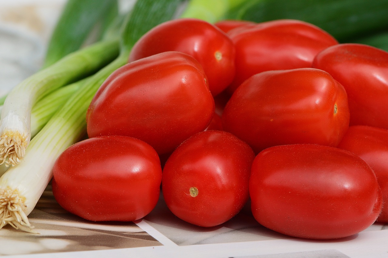 tomatoes spring onions vegetables free photo