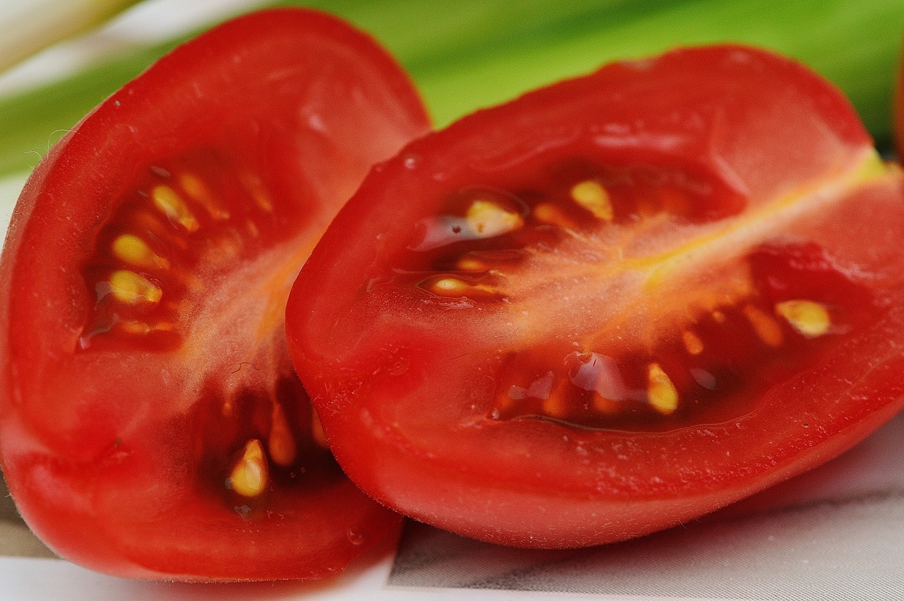 tomatoes spring onions vegetables free photo