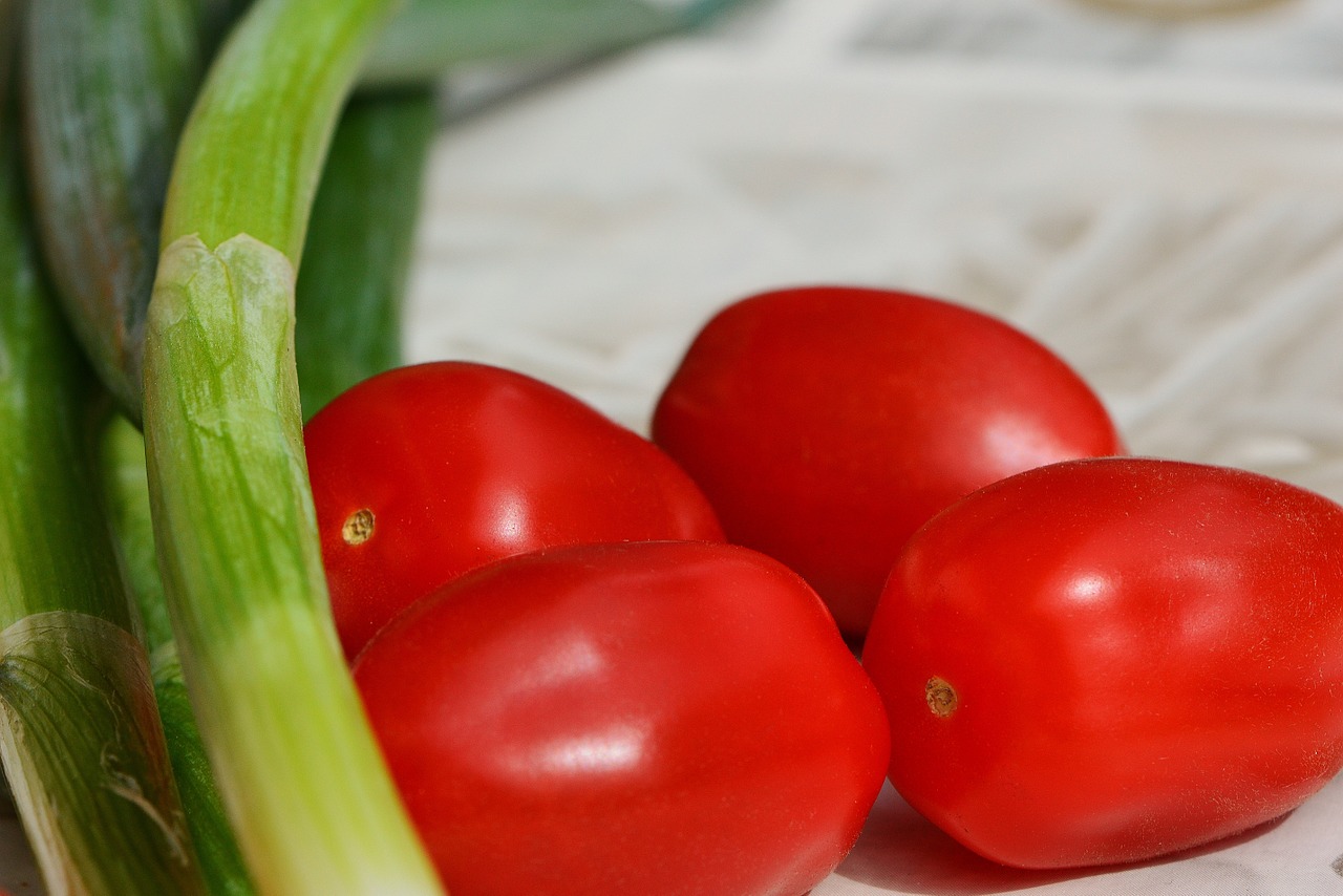 tomatoes spring onions vegetables free photo