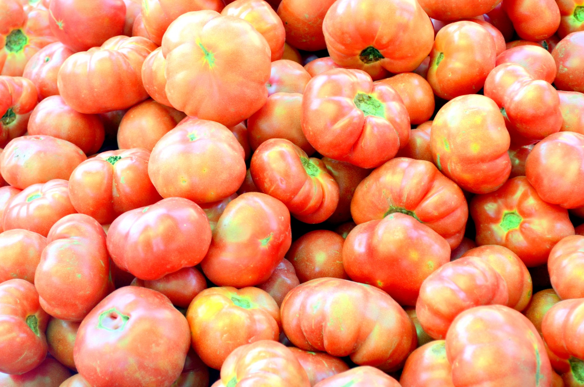 tomato tomatoes sale free photo