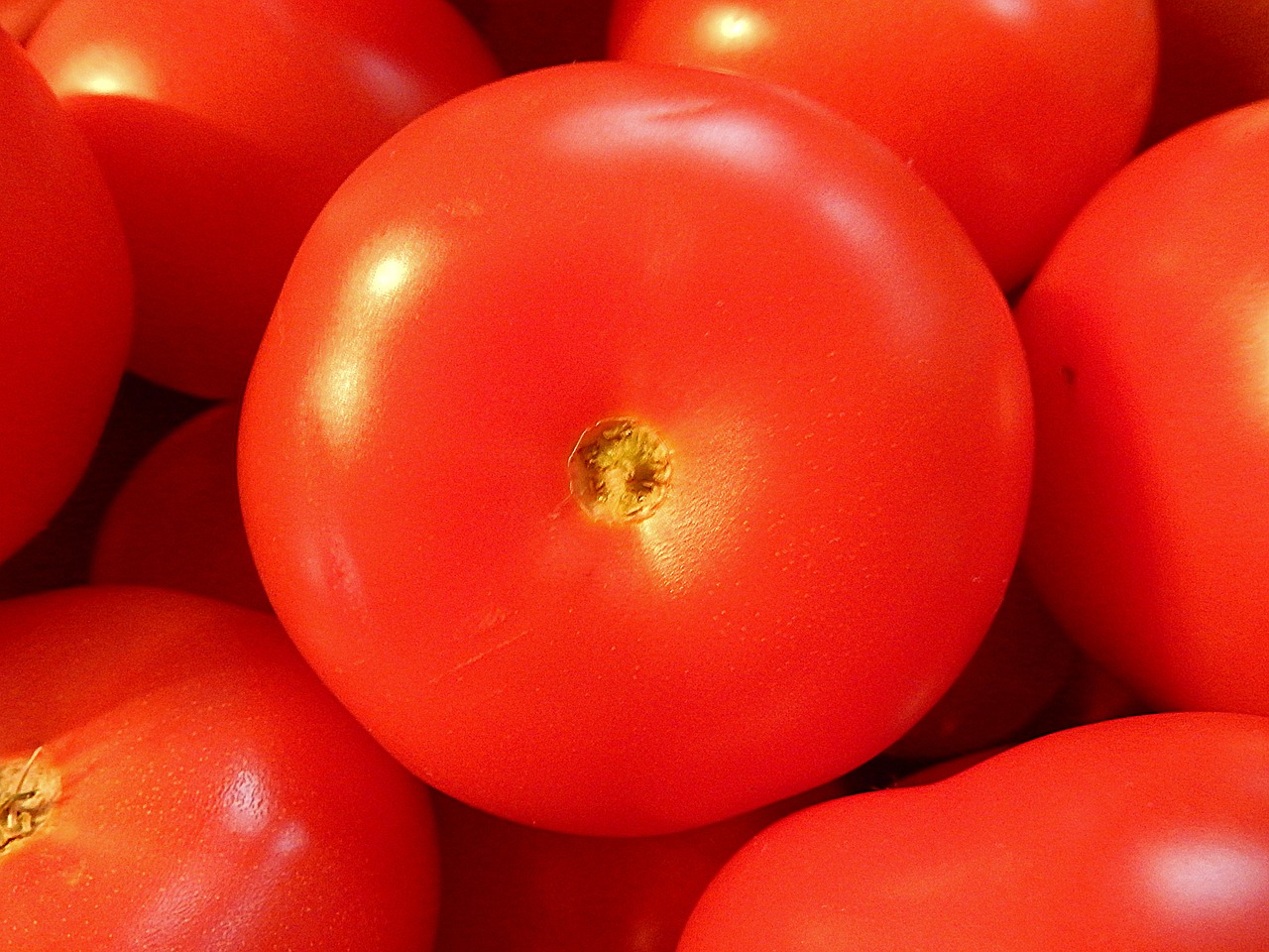 tomatoes fruit vegetables free photo