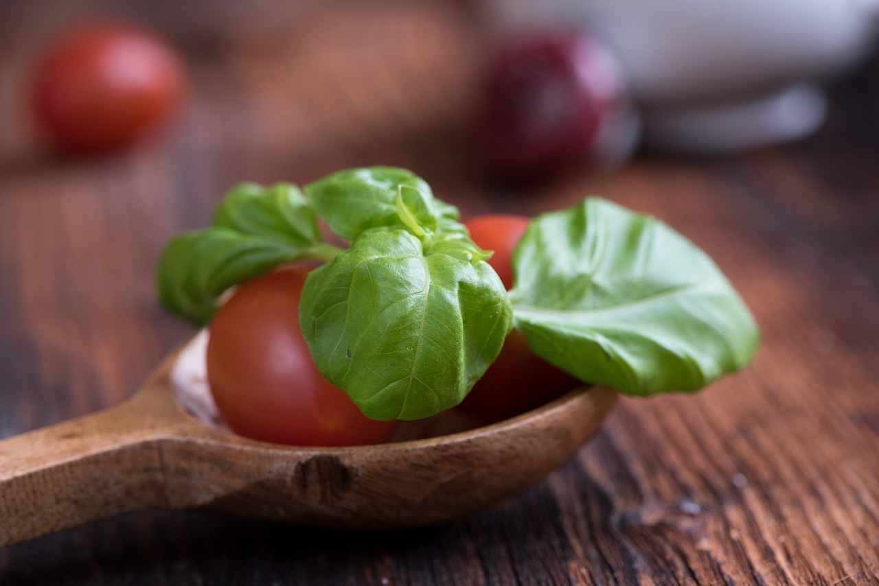 tomatoes small tomatoes red free photo