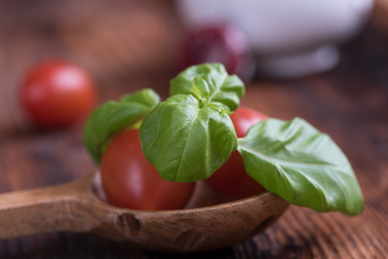 tomatoes small tomatoes red free photo