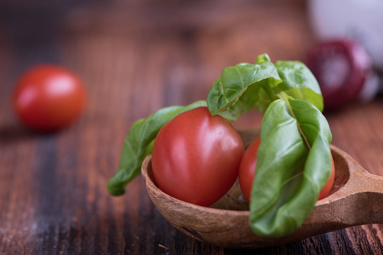 tomatoes small tomatoes red free photo