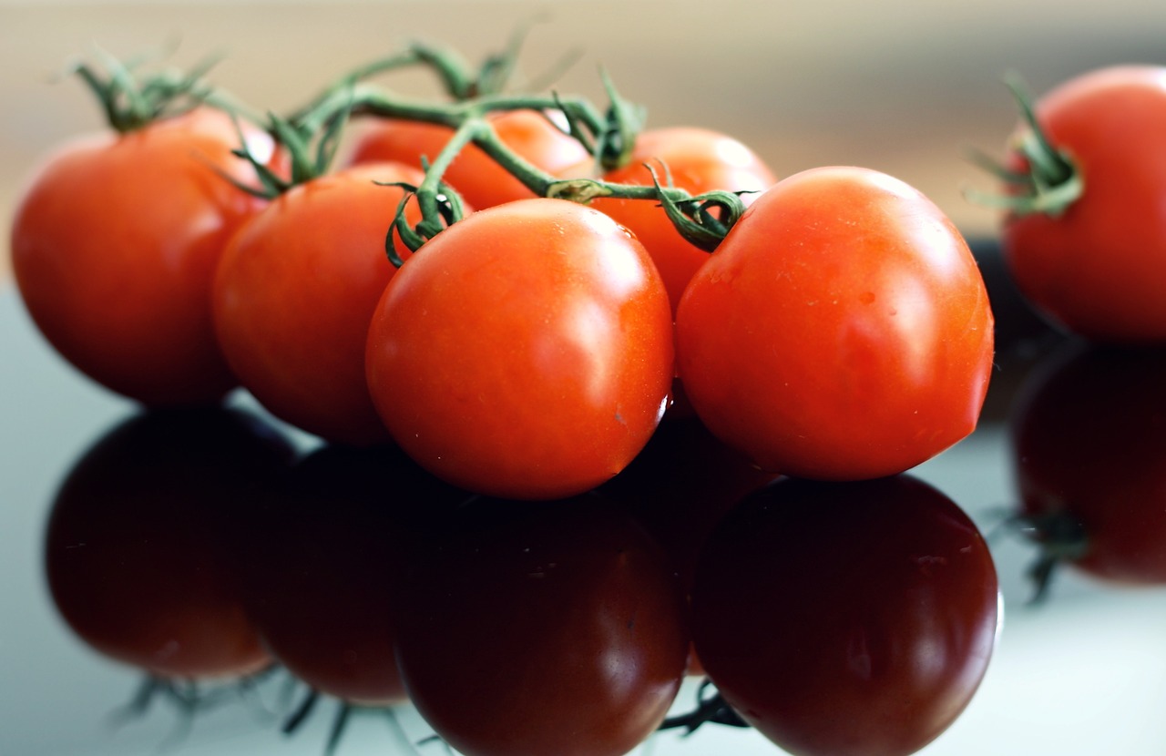 tomatoes red fresh free photo