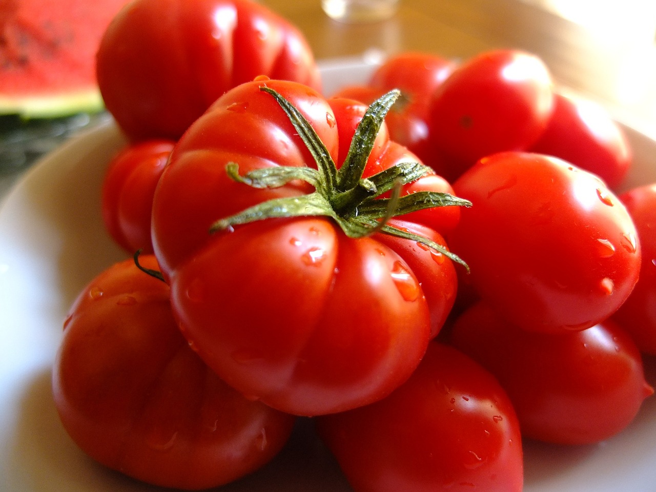 tomatoes frisch italy free photo