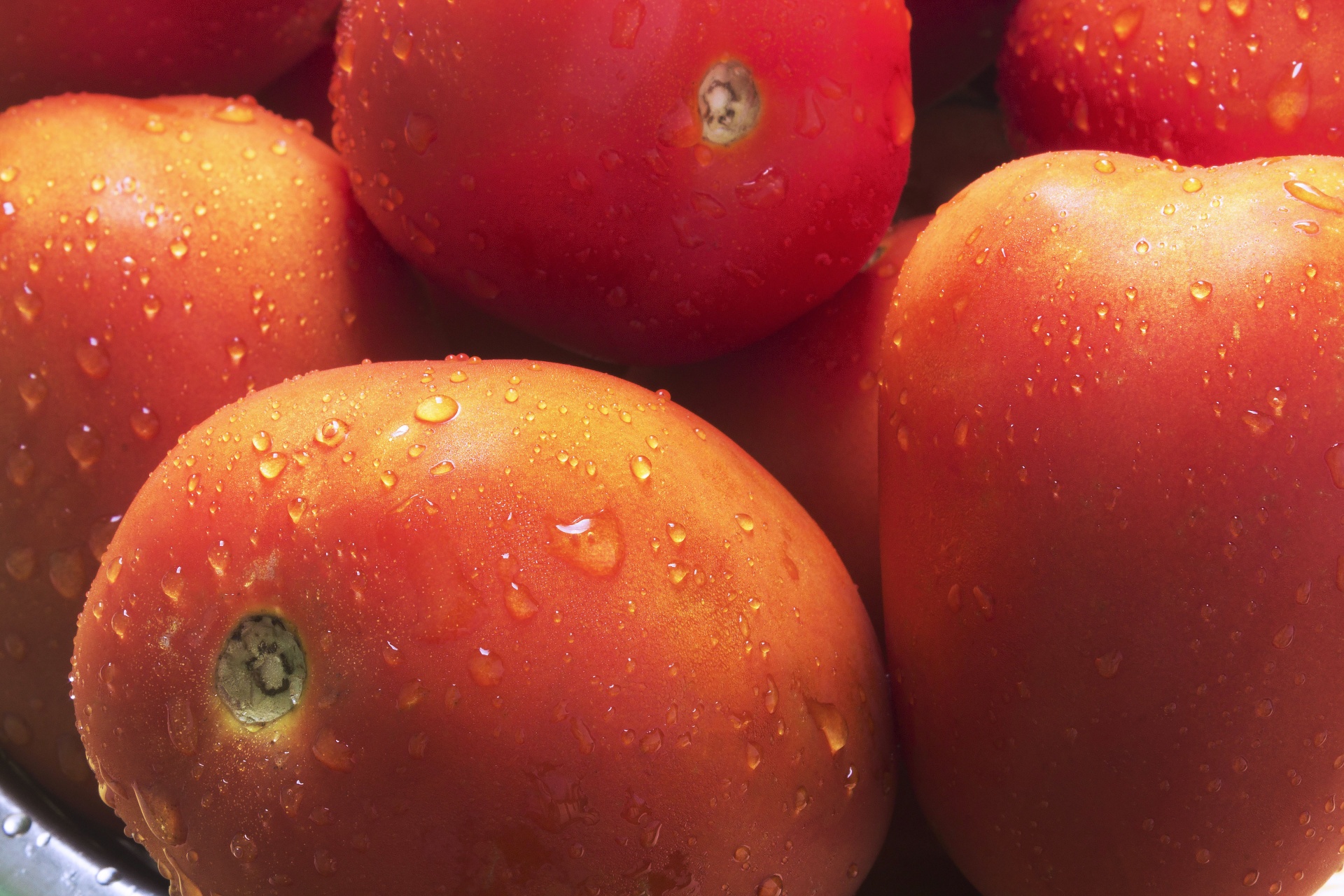tomato fresh fruit free photo