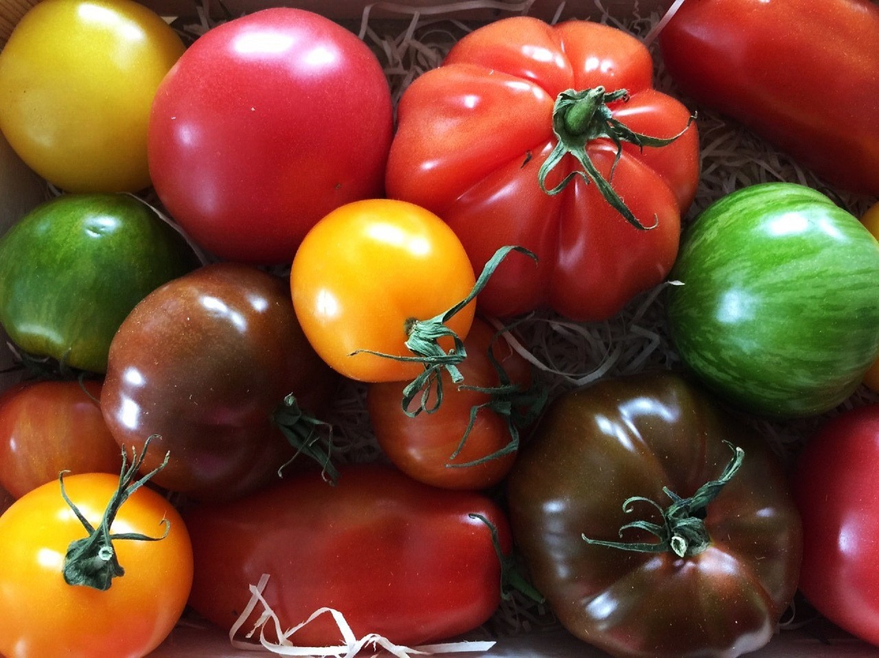 tomatoes vegetables food free photo