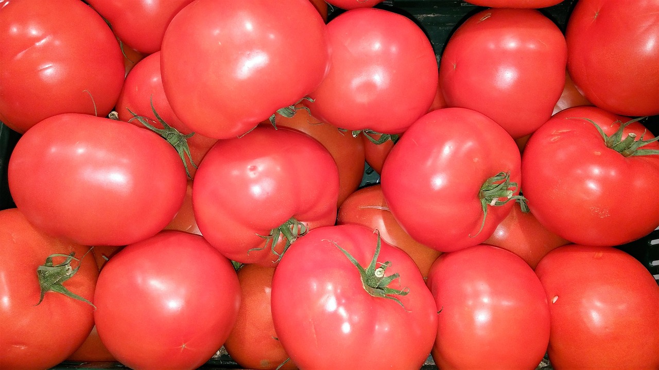 tomatoes frisch food free photo