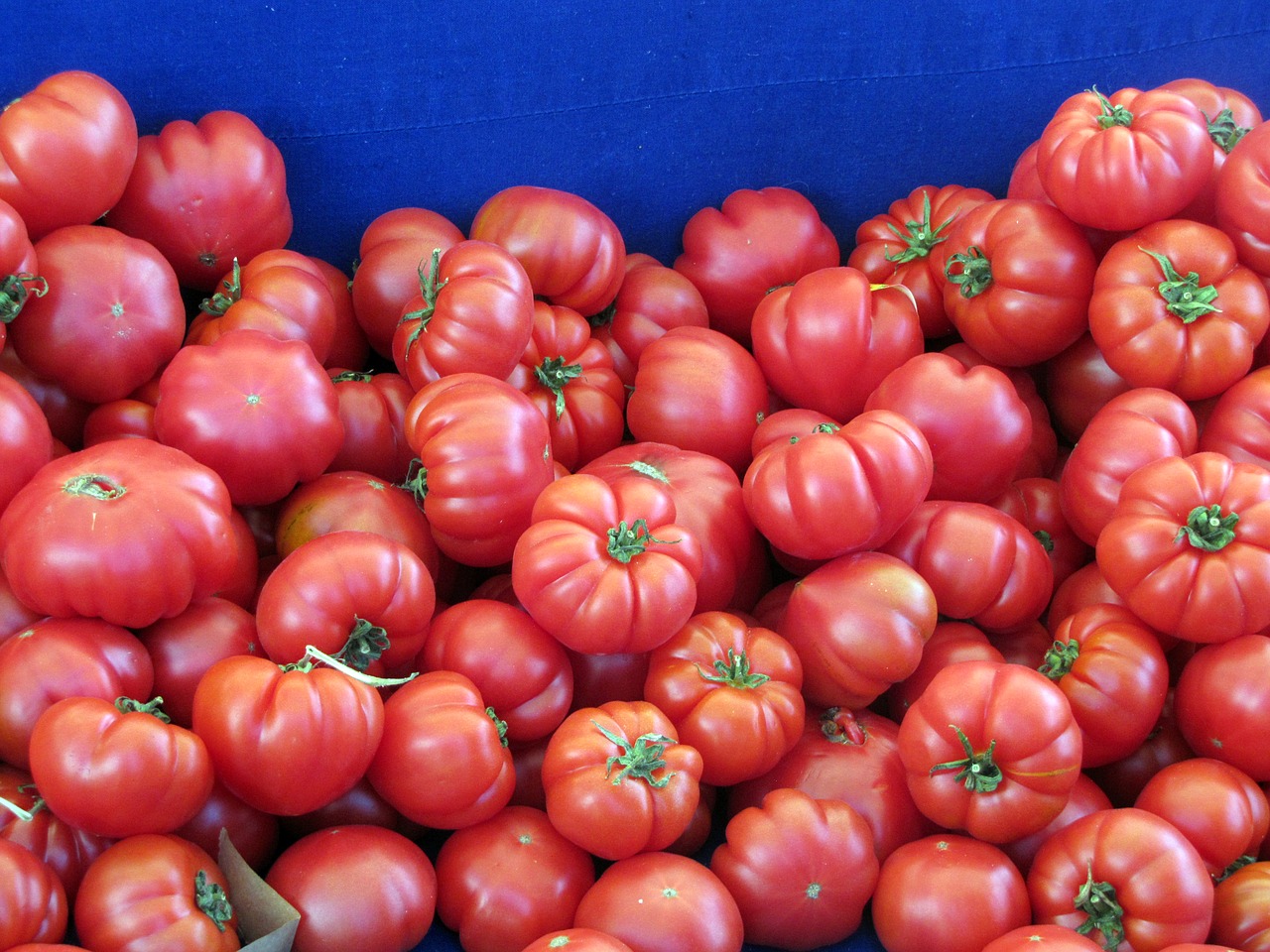 tomatoes vegetable food free photo