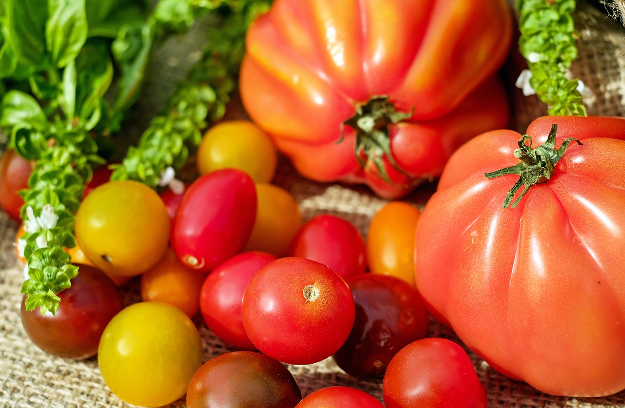 tomatoes colorful vitamins free photo