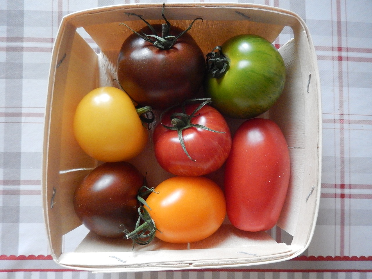 tomatoes garden power free photo