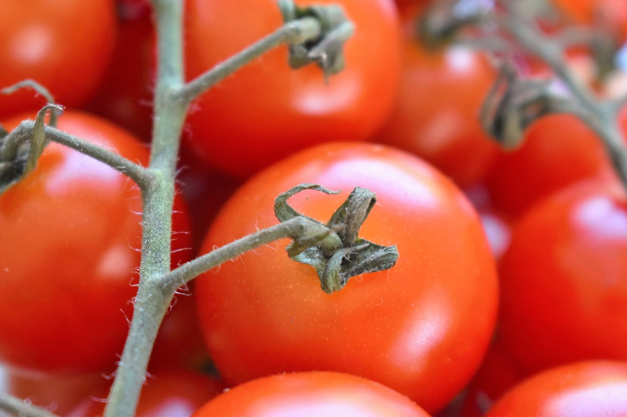 tomatoes vegetables datailaufnahme free photo