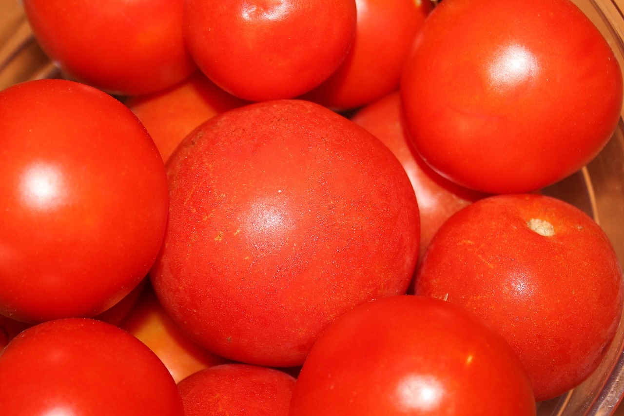 tomatoes red vegetables free photo