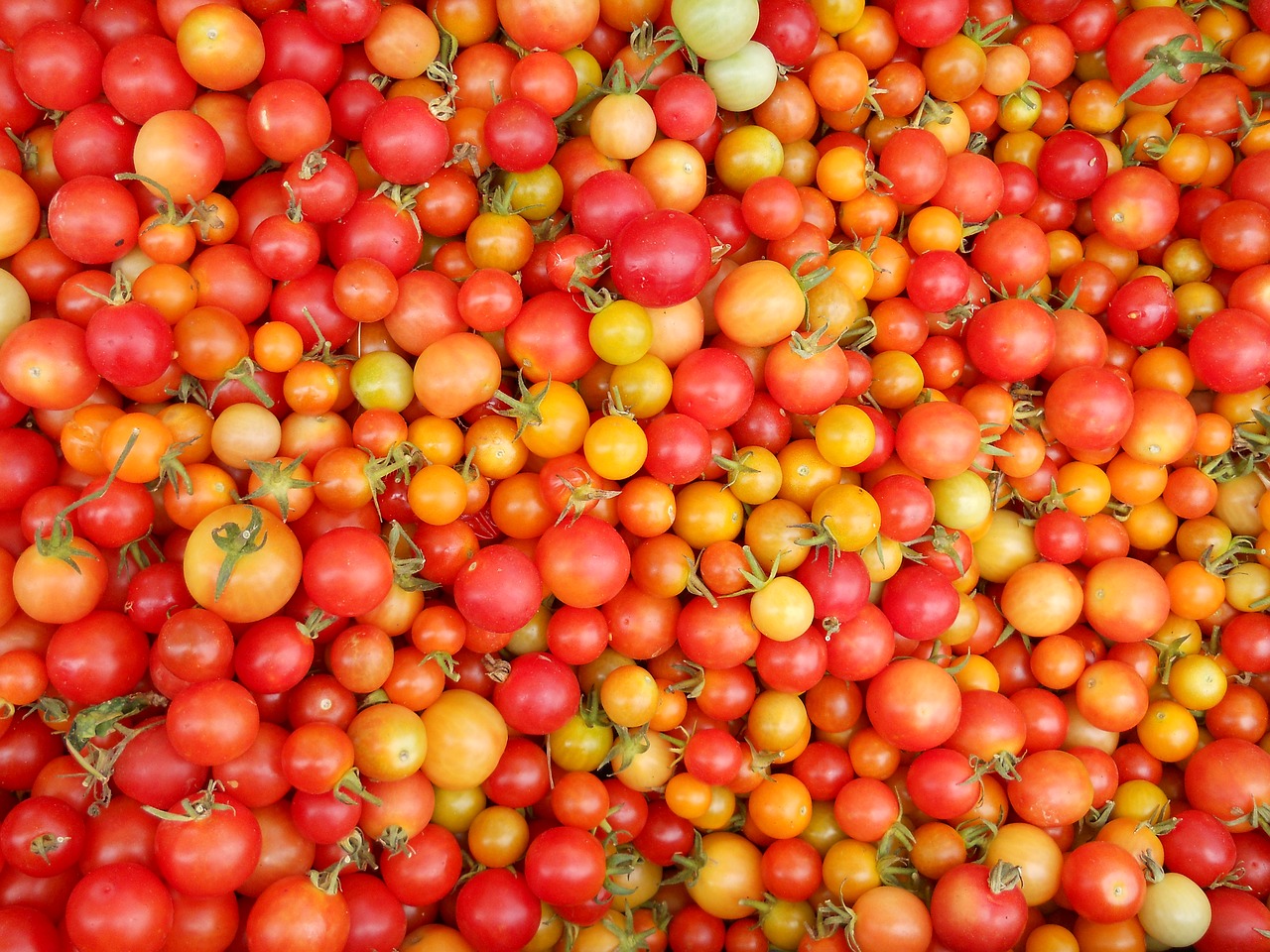 tomatoes food fruit free photo