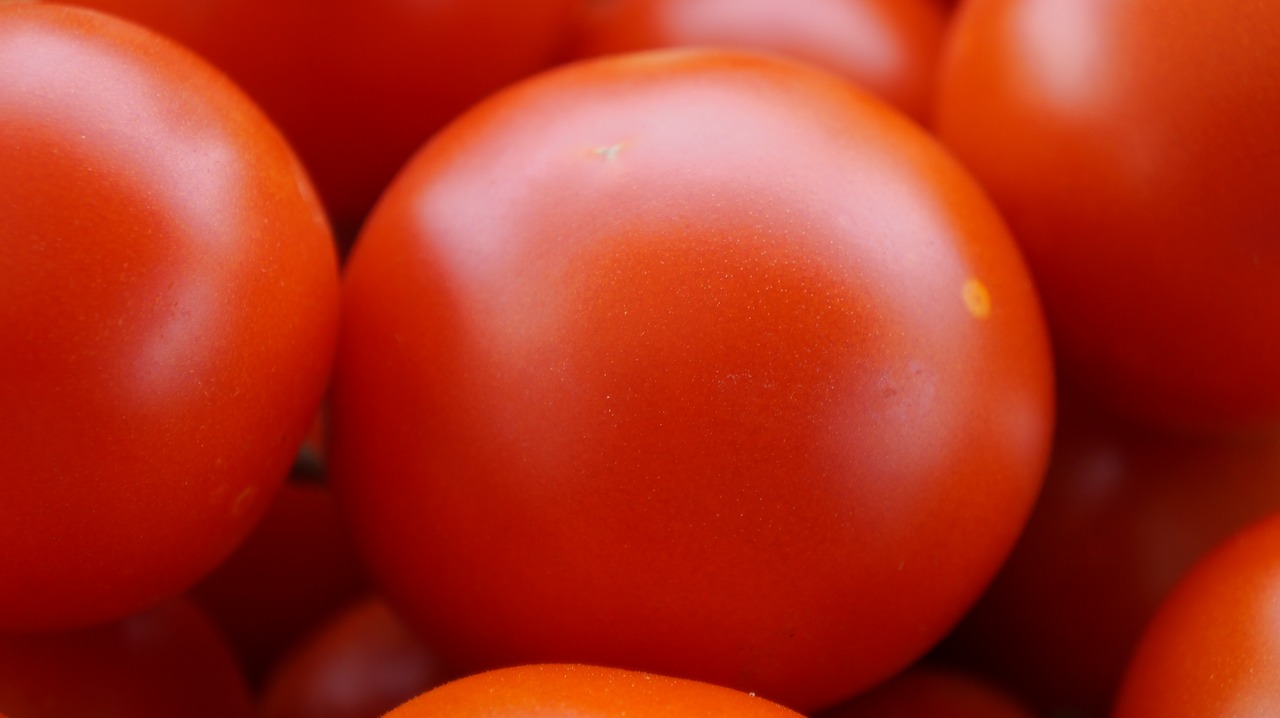 tomatoes red ripe free photo