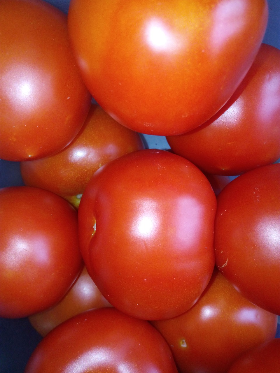 tomatoes vegetables vegetable free photo