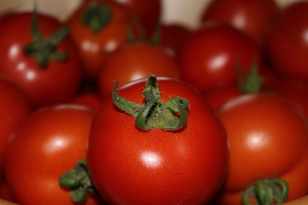 tomatoes red vegetables free photo