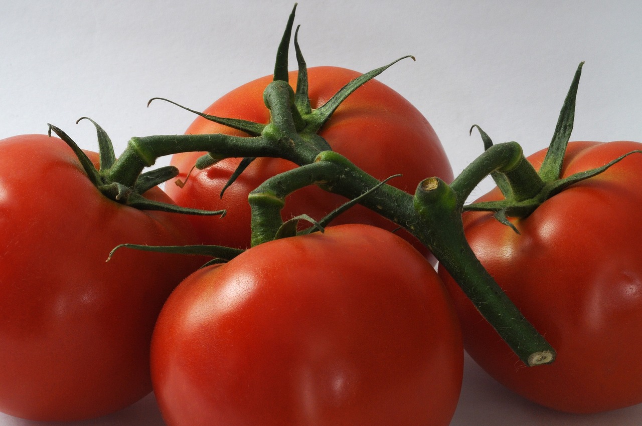 tomatoes fresh food free photo
