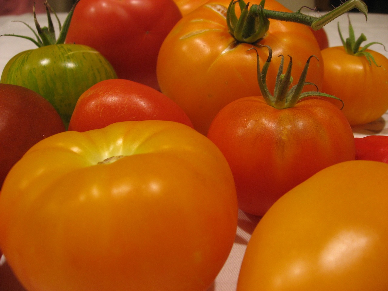 tomatoes varieties diversity free photo