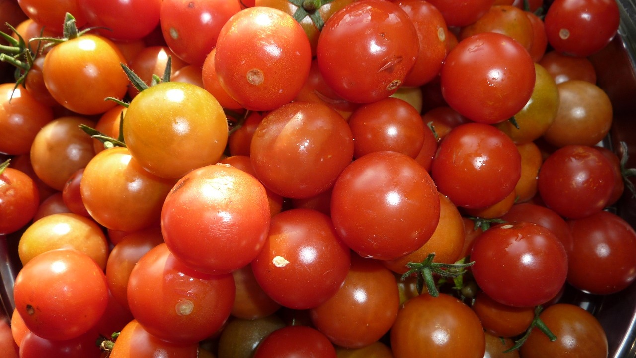 tomatoes cherry tomatoes vegetables free photo