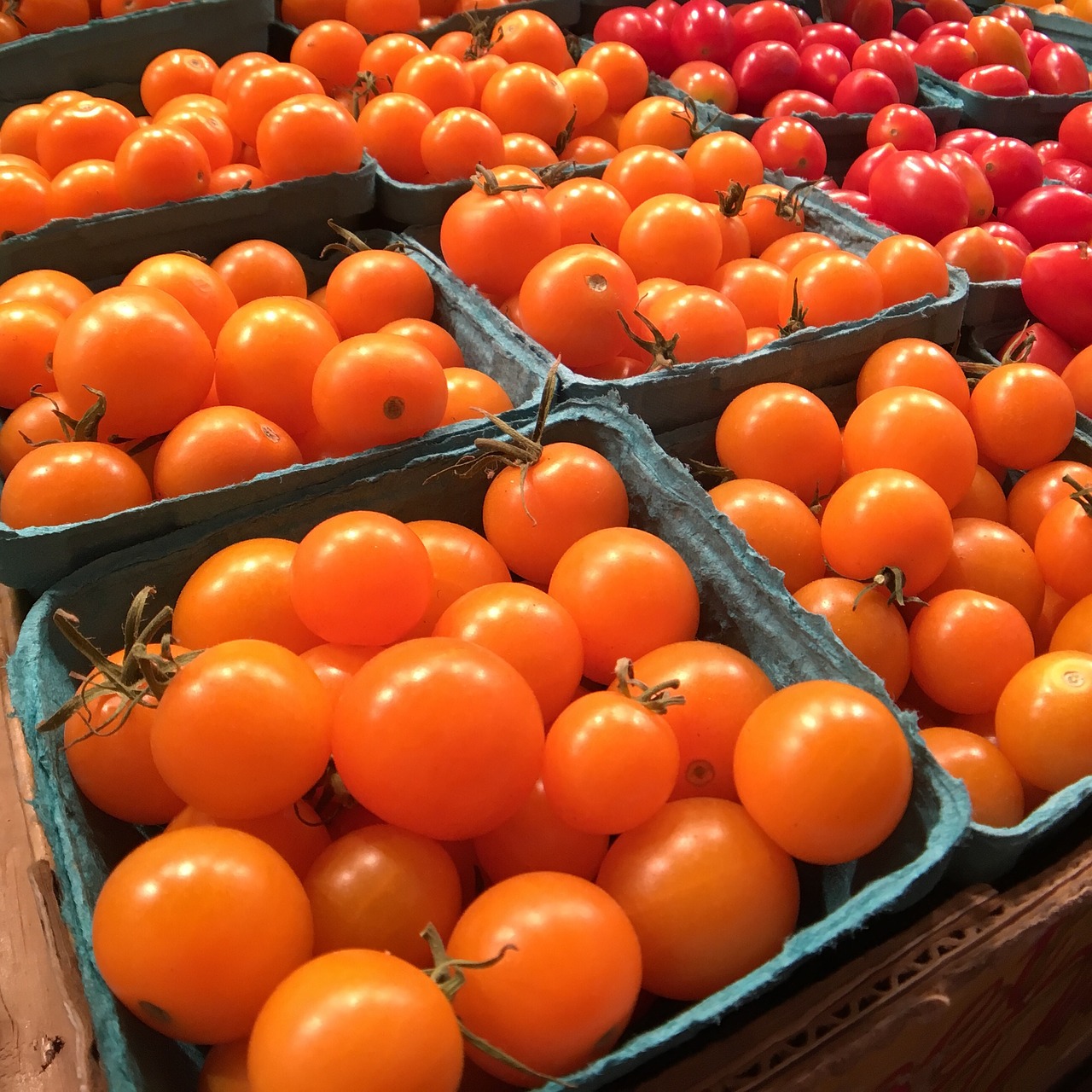 tomatoes tomato fresh free photo