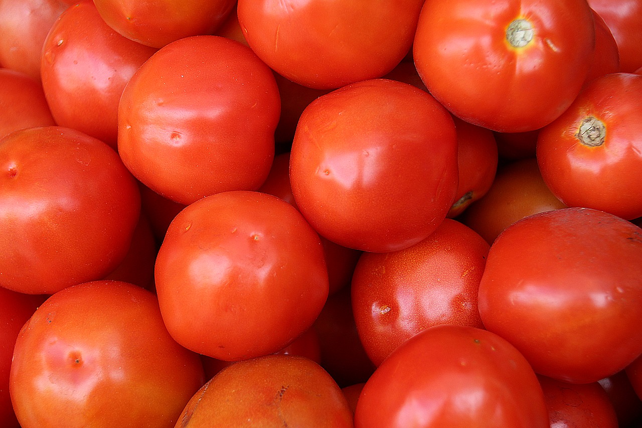 tomatoes vegetable greens free photo