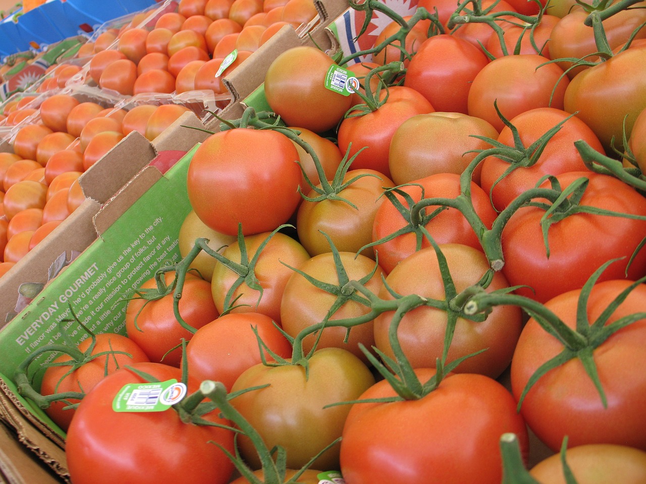tomatoes vegetables fruit free photo