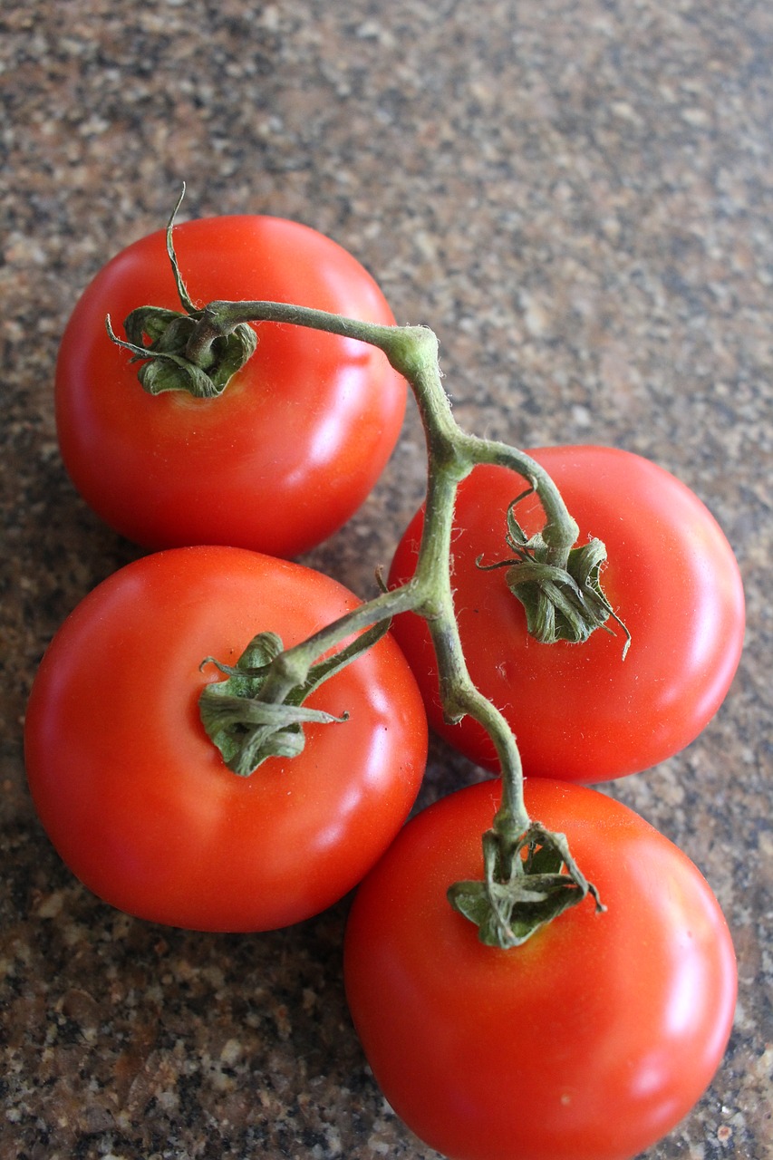 tomatoes power supply salad free photo