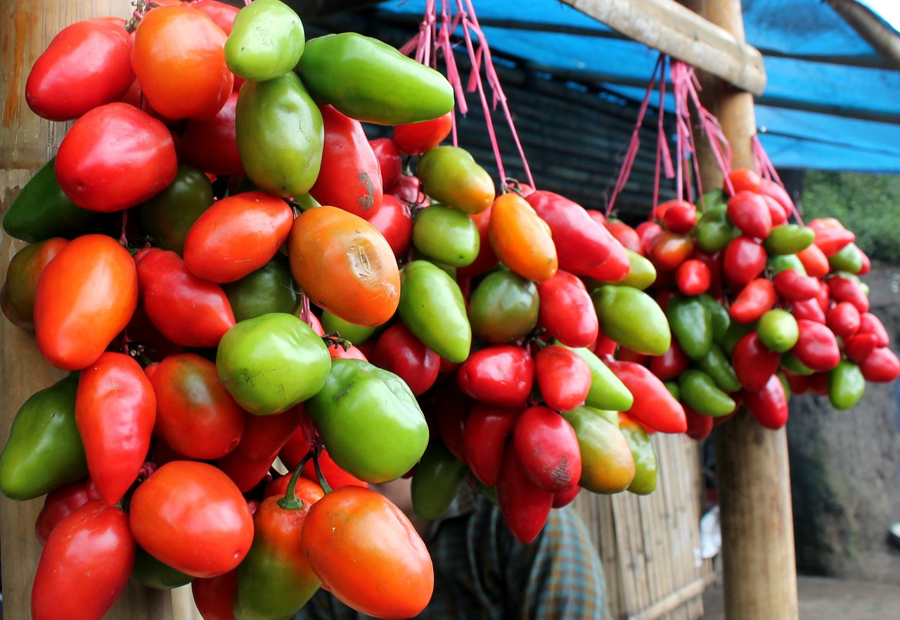 tomatoes fruit vegetable free photo