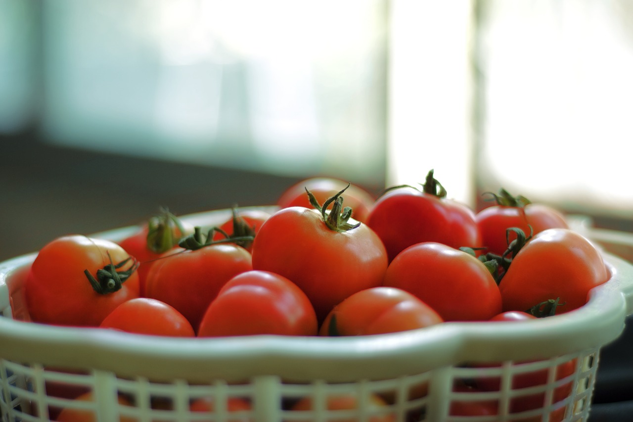 tomatoes fruit red free photo