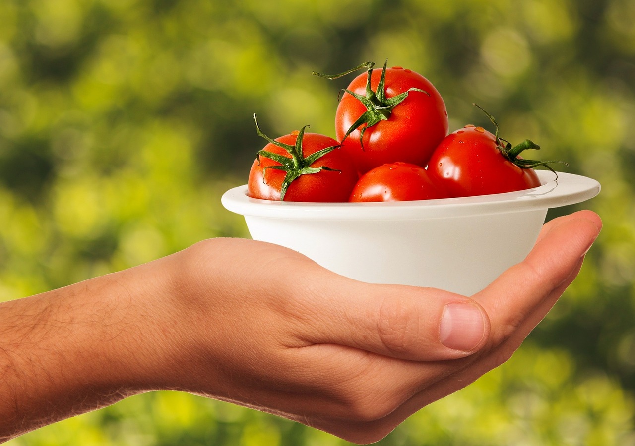 tomatoes vegetables healthy free photo