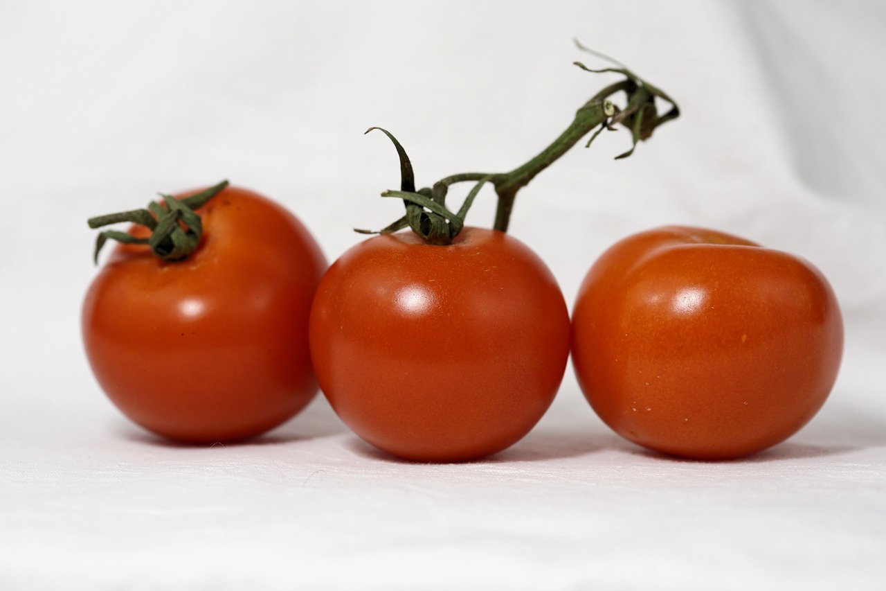 tomatoes vegetables food free photo