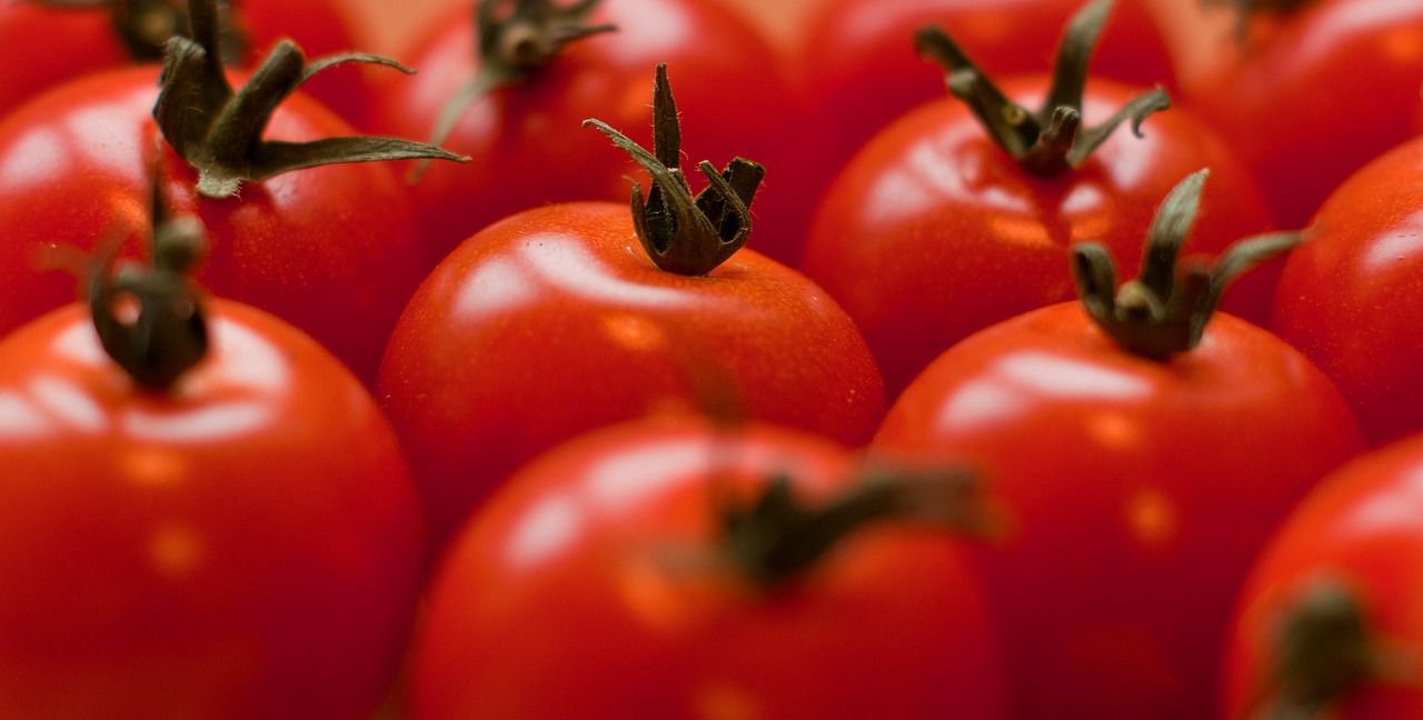 tomatoes red fruit free photo