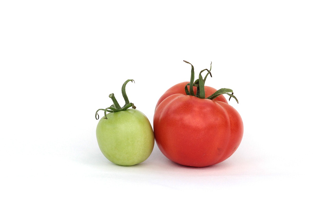 tomatoes red green free photo