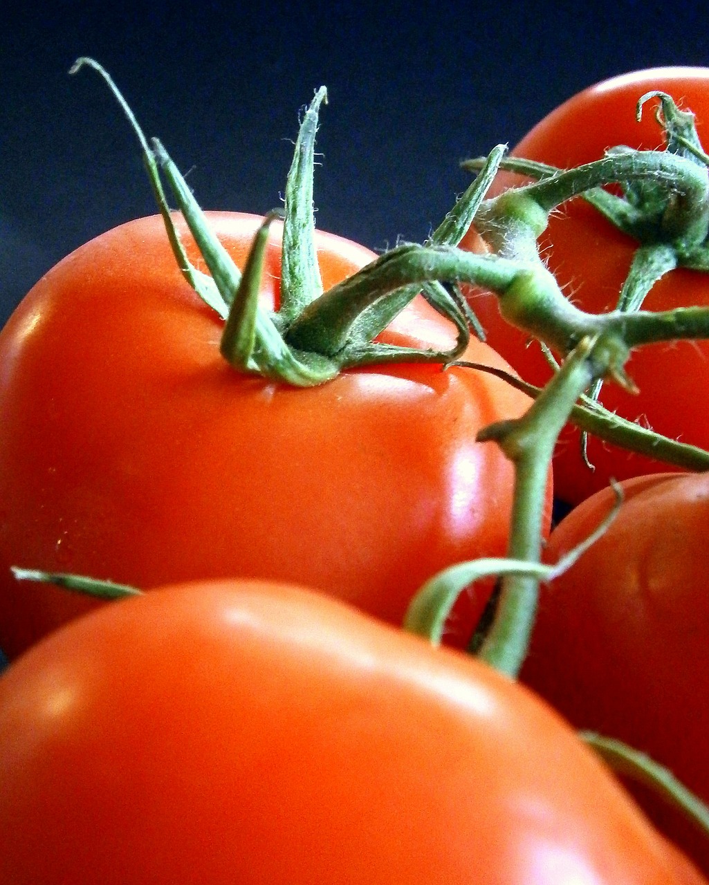 tomatoes vegetables healthy free photo
