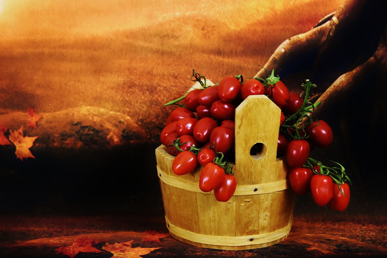 tomatoes wooden bucket collect free photo