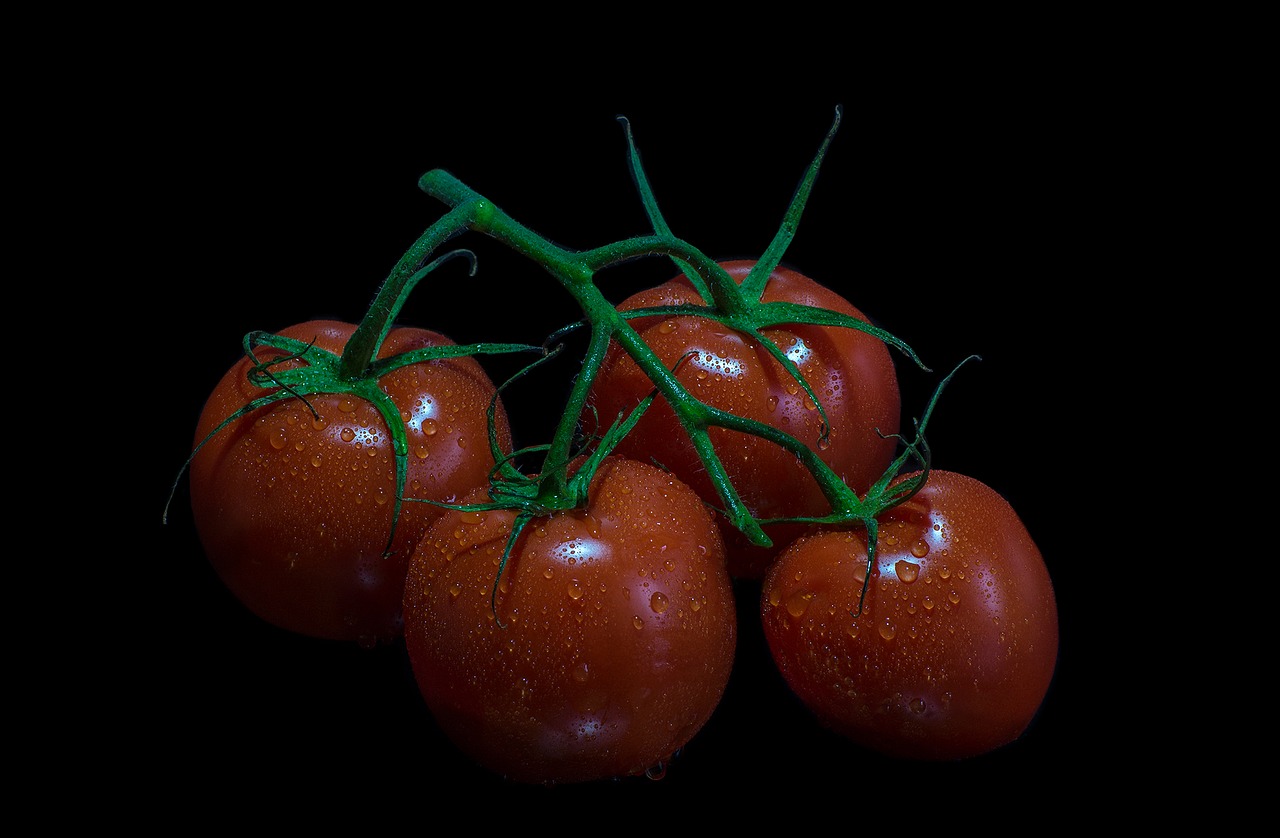 tomatoes fruits fruit free photo