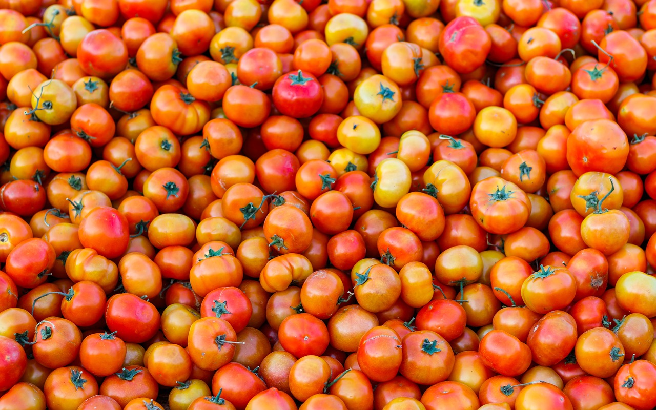 tomatoes vegetable tomato free photo