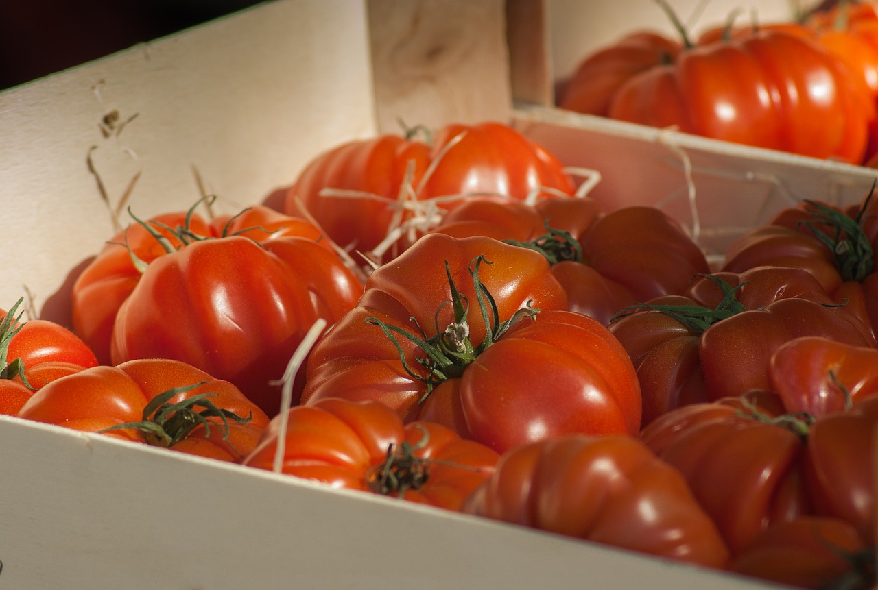 tomatoes market vegetable free photo