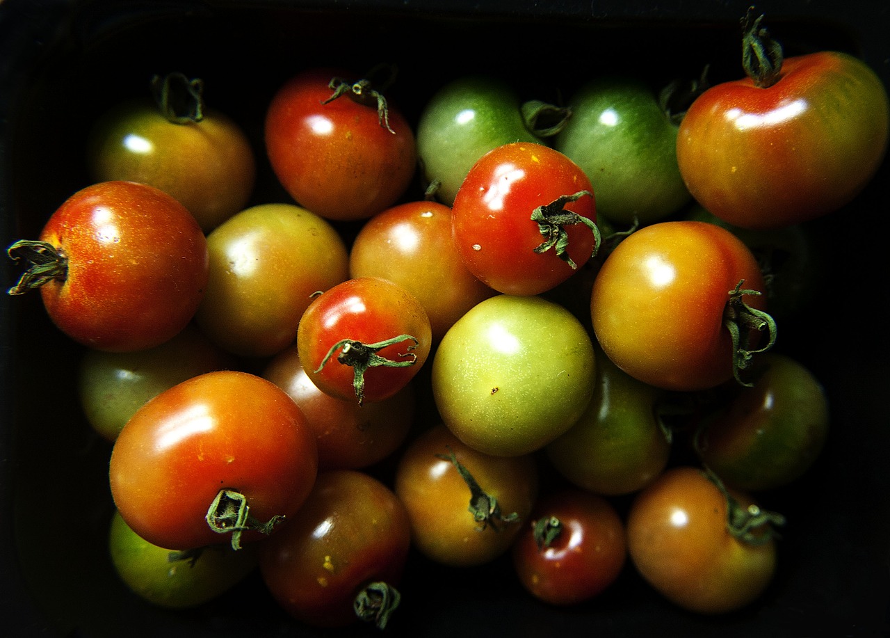 tomatoes fruit tomato free photo