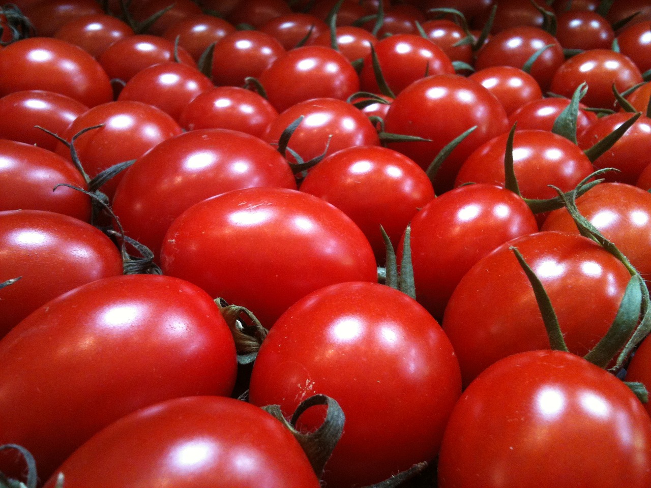 tomatoes cherry food free photo