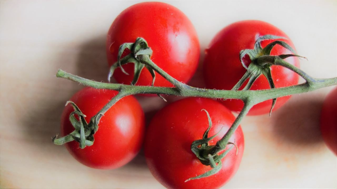 tomatoes vegetables food free photo