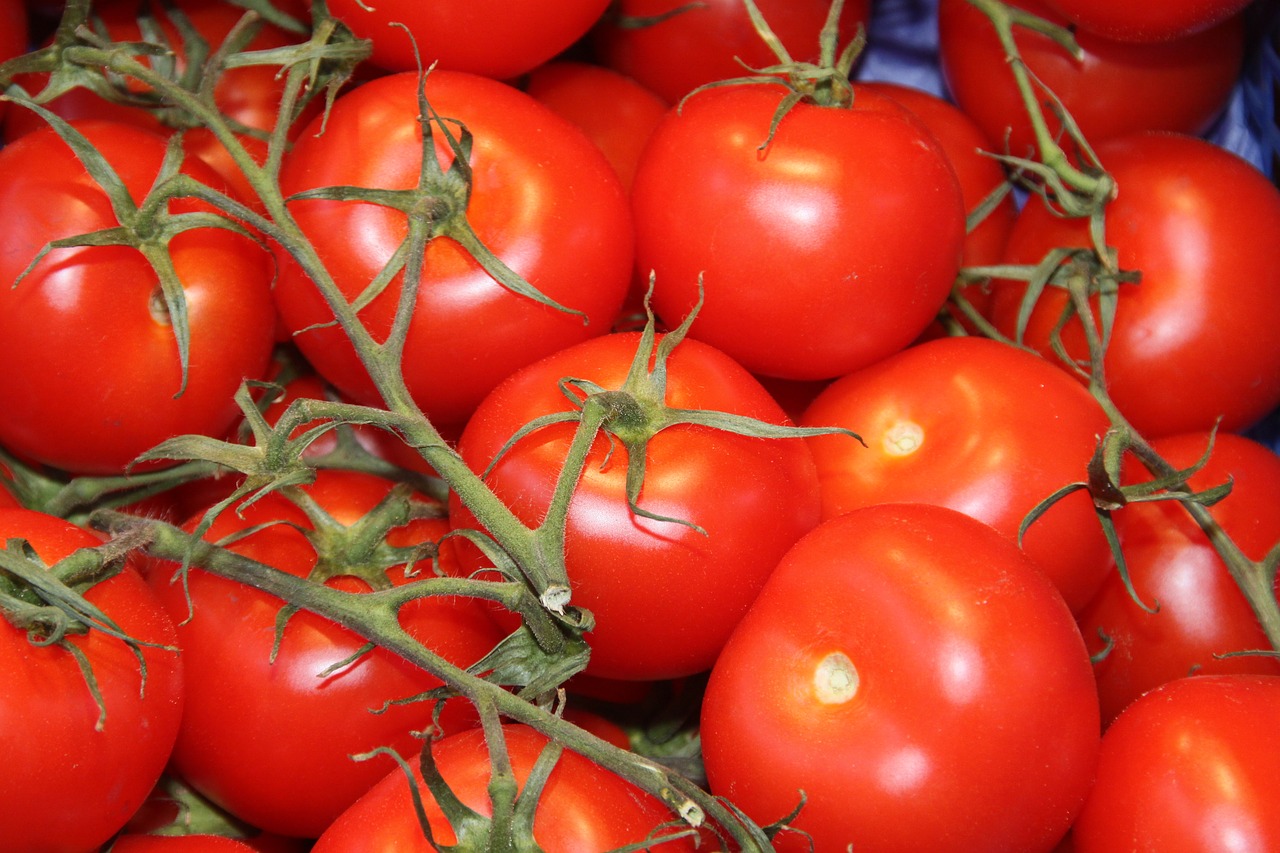 tomatoes vegetables datailaufnahme free photo
