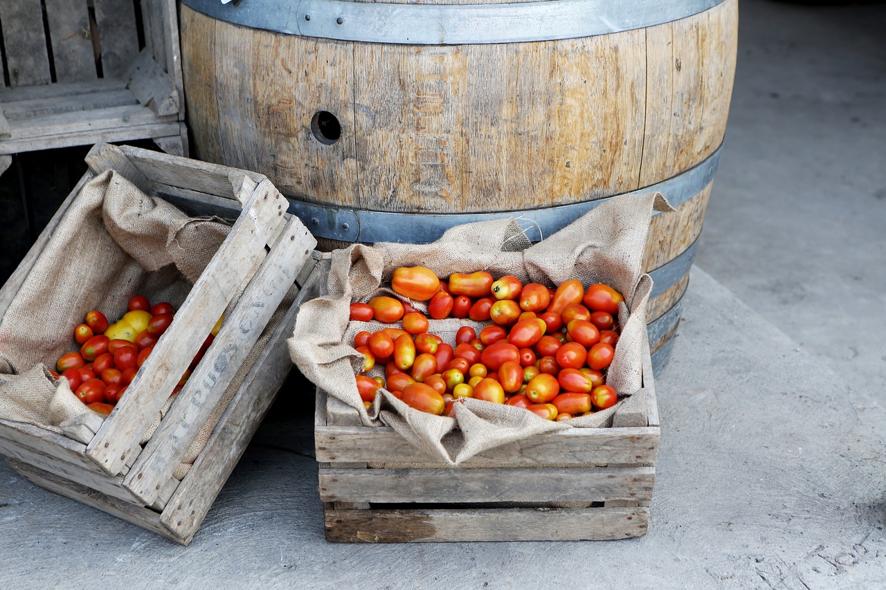 tomatoes vegetables food free photo