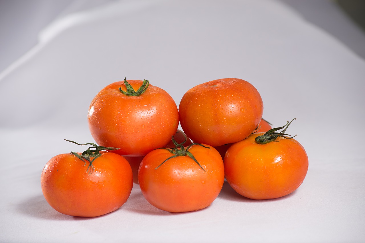 tomatoes vietnam big tomato free photo
